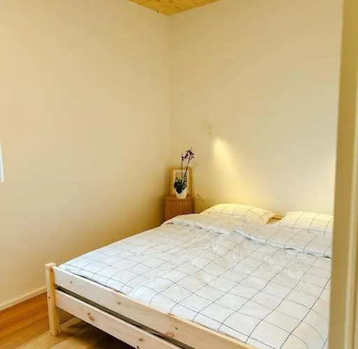 Apartment Kovacic - *